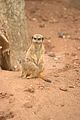 leipzig zoo-01_07_2011_zoo_allgemein_284